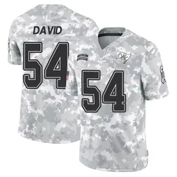 Men's Lavonte David Tampa Bay Buccaneers 2024 Salute to Service Jersey - Arctic Camo Limited