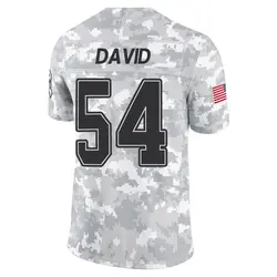 Men's Lavonte David Tampa Bay Buccaneers 2024 Salute to Service Jersey - Arctic Camo Limited