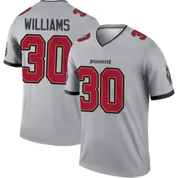 Youth D.J. Williams Tampa Bay Buccaneers Inverted Jersey - Gray Legend